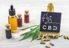 What Are The CBD Products