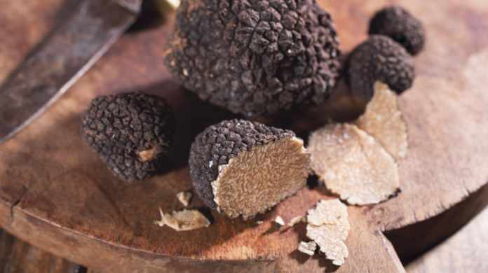 What is a truffle